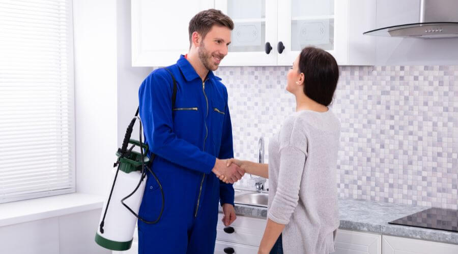 Why choose Raccoon Removal Hybla Valley for raccoon removal in Hybla Valley
